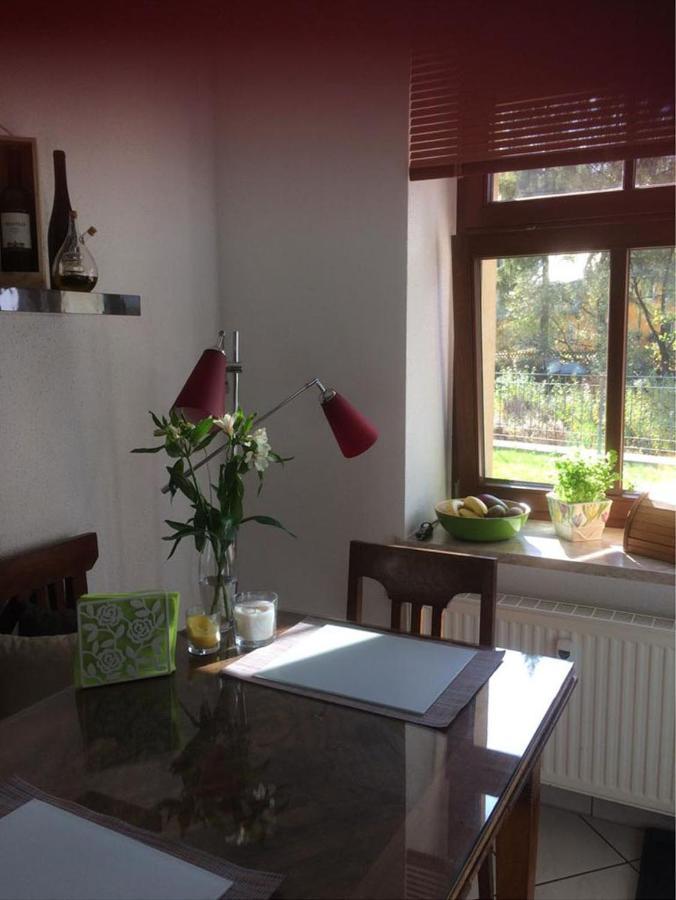 Ferienwohnung Auf der Zschopau-Insel Exterior foto